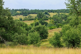 756 Hartmann Ranch Way, Fredericksburg, TX 78624