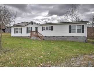 103 Lovelace Dr, Fall Branch, TN 37656