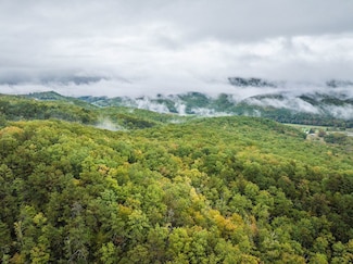 0 Tbd Whippoorwill Ln Unit LotWP001, Monterey, VA 24465