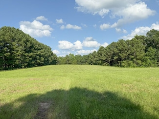 Tbd Fm 1969, Avinger, TX 75657