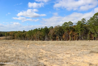 Tract 1 Hugh White State Park Rd, Grenada, MS 38901