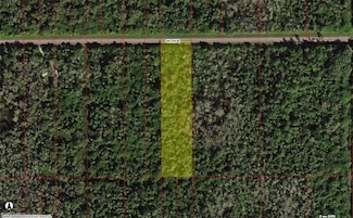 0 34th Ave SE Unit 225028735, Naples, FL 34117