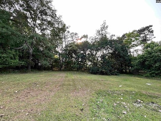 250 Pine St, Winnsboro, SC 29180