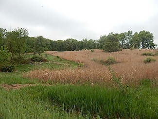 9352 E Jones Rd, Bellevue, MI 49021