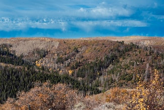 0 Tbd County Road 249 Unit 25560755, Rifle, CO 81650