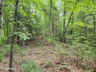 5.69 Acres Pea Hollow Rd, Sevierville, TN 37862