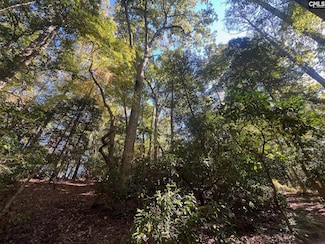 0 Roper Mountain Ct Unit 613841, Lexington, SC 29073