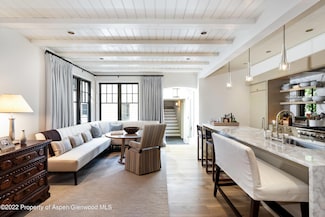 610 W Hallam St, Aspen, CO 81611