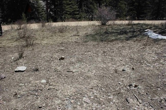 Lot 23 Valley of the Pines Rd, Red River, NM 87558