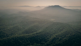 0 Sugar Tree Hollow Rd Lot Unit WP001, Eagle Rock, VA 24085