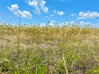 Lot 8 Cr-590, Nevada, TX 75173