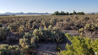10335 N 400 W Unit 25, Beryl, UT 84714