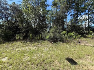 2190 W Tacoma Dr, Citrus Springs, FL 34434