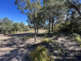 1806 Corral Rd N, Texas Creek, CO 81223
