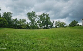 Tbd Rolling Hills Rd, Church Hill, TN 37642