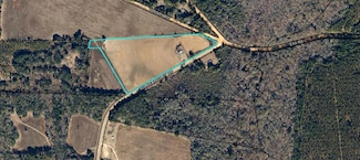4451 Wilkie Mosley Rd, Blakely, GA 39823