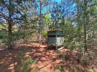 8 ac County Road 1464, Centerville, TX 75833