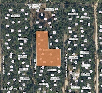 LOT 0 Michigan Dr, Hawthorne, FL 32640