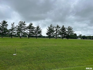 Lot 21 Guinan Rd, Petersburg, IL 62675