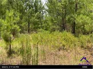 0 Margaret Ln Unit 250786, Hawkinsville, GA 31036