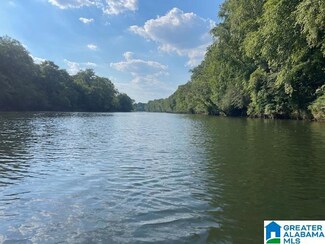 0 County Road 140 Unit 44.22± Ac 21418288, Wadley, AL 36276