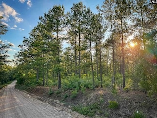 340 Frontage Rd, Leesville, SC 29070