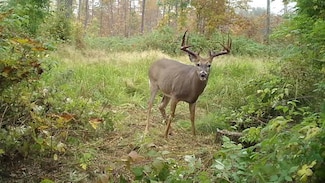 0 Tower Rd, Merrill, WI 54452