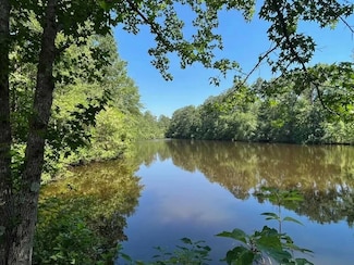 0 Carter Rd, Patsburg, AL 36049