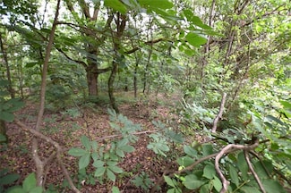 12401 Readings Rd, Gentry, AR 72734
