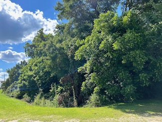 1.12 Ac Main St, Abbeville, GA 31001