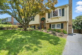 242 Woodlawn Ave, Blue Ridge, VA 24064