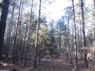 HWY Arkansas 307, Belleville, AR 72824