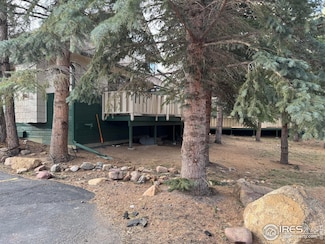 1010 S Saint Vrain Ave, Estes Park, CO 80517