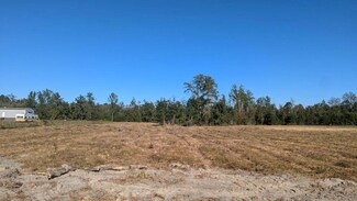 0 Beaver Pond Rd Unit Lot 3 11431138, Luverne, AL 36049