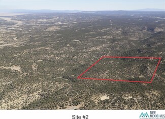 0000 TBD 2 Goat Ranch Rd, Pie Town, NM 87827