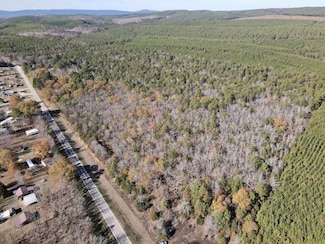 000 Arkansas 60 Unit LotWP001, Plainview, AR 72857