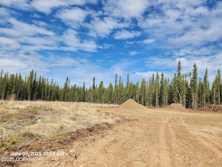 Lot 5 Boreal Forest, Tok, AK 99780
