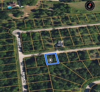 31041 Doe Run Ct, Whitney, TX 76692
