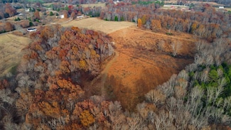 496 County Road 496 Unit LotWP003, Lexington, AL 35648