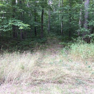 0 Lewis Rd Unit PARCEL 2 299288, Vanderbilt, MI 49795