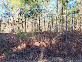 LOT E-25 Pine Ridge Way, Salem, SC 29676