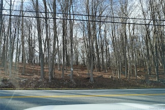 0 New York 301, Kent Cliffs, NY 10512