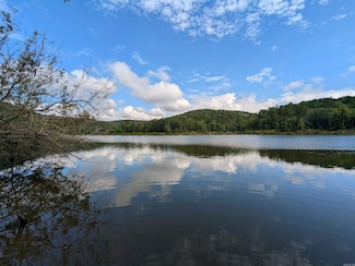 161 Mayhand Rd, Shirley, AR 72153