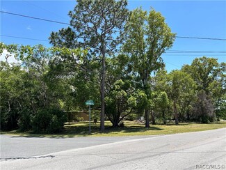 7360 W Pompey Ln, Homosassa, FL 34446