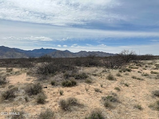 CCC S Buckeye Apache C Rd Unit 9, Bowie, AZ 85605