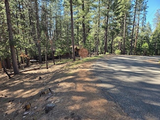 5701 Lupin Ln, Pollock Pines, CA 95726