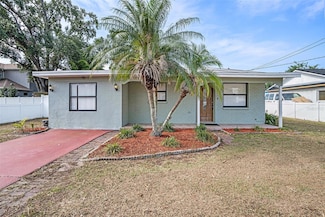 3308 W Walnut St, Tampa, FL 33607