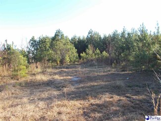 580 New Hope Church Rd, McBee, SC 29101