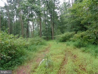 379 Blue Rocks Rd, Lenhartsville, PA 19534
