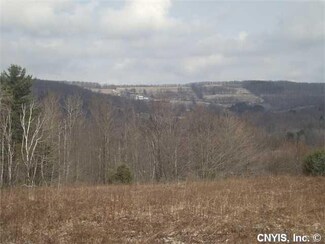 0 Kirshman Hill Rd, Cherry Valley, NY 13320